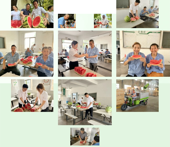 戰(zhàn)高溫，不服“暑” | 前程包裝為員工消暑意，送清涼